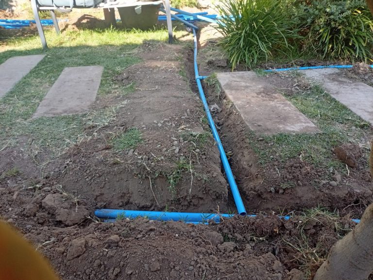 WhatsApp Image 2026-01-28 at 2.41.02 PM (2)