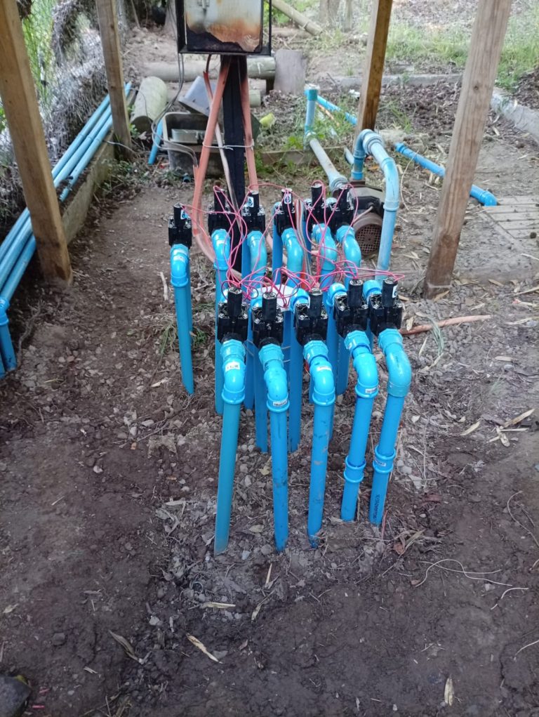 WhatsApp Image 2026-01-28 at 2.41.02 PM (3)