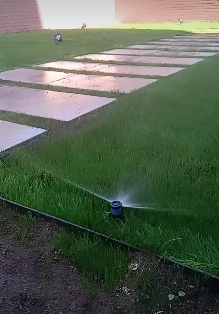 WhatsApp Image 2026-01-28 at 2.41.03 PM (1)