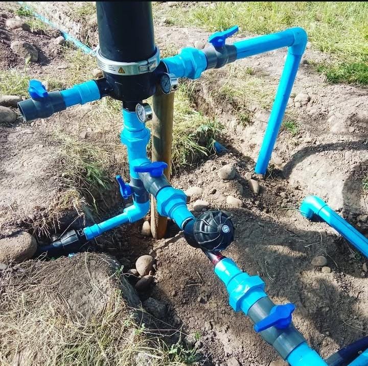 WhatsApp Image 2026-01-28 at 2.41.04 PM