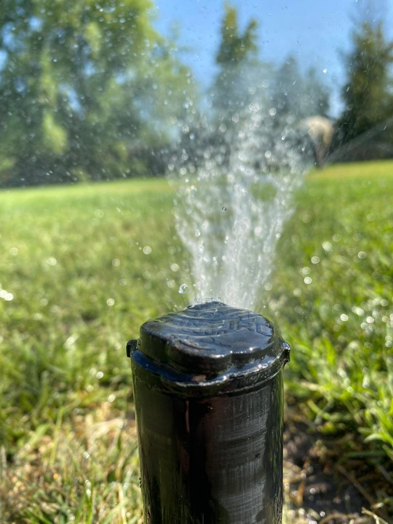 WhatsApp Image 2026-01-28 at 2.41.21 PM (1)