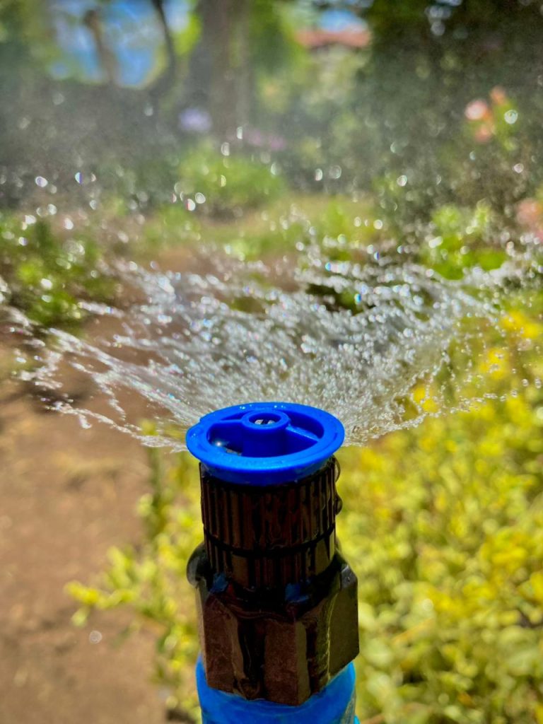 WhatsApp Image 2026-01-28 at 2.41.22 PM