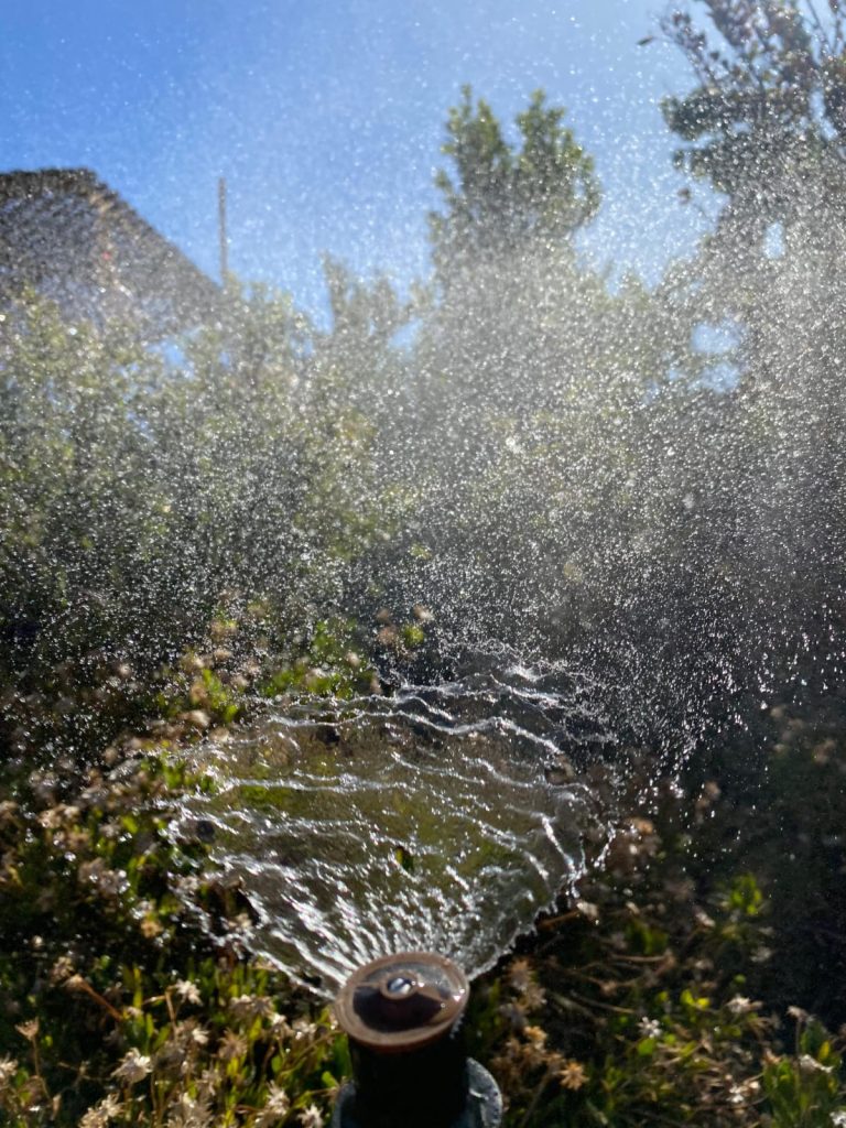 WhatsApp Image 2026-02-10 at 18.16.12