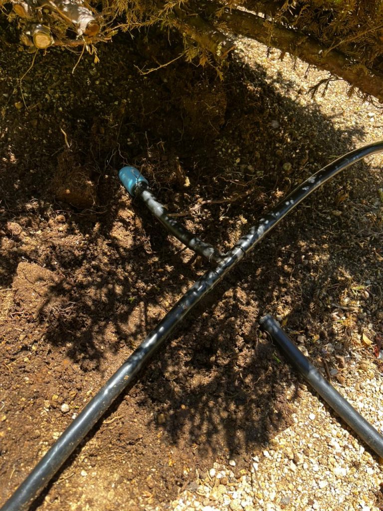 WhatsApp Image 2026-02-10 at 18.24.01