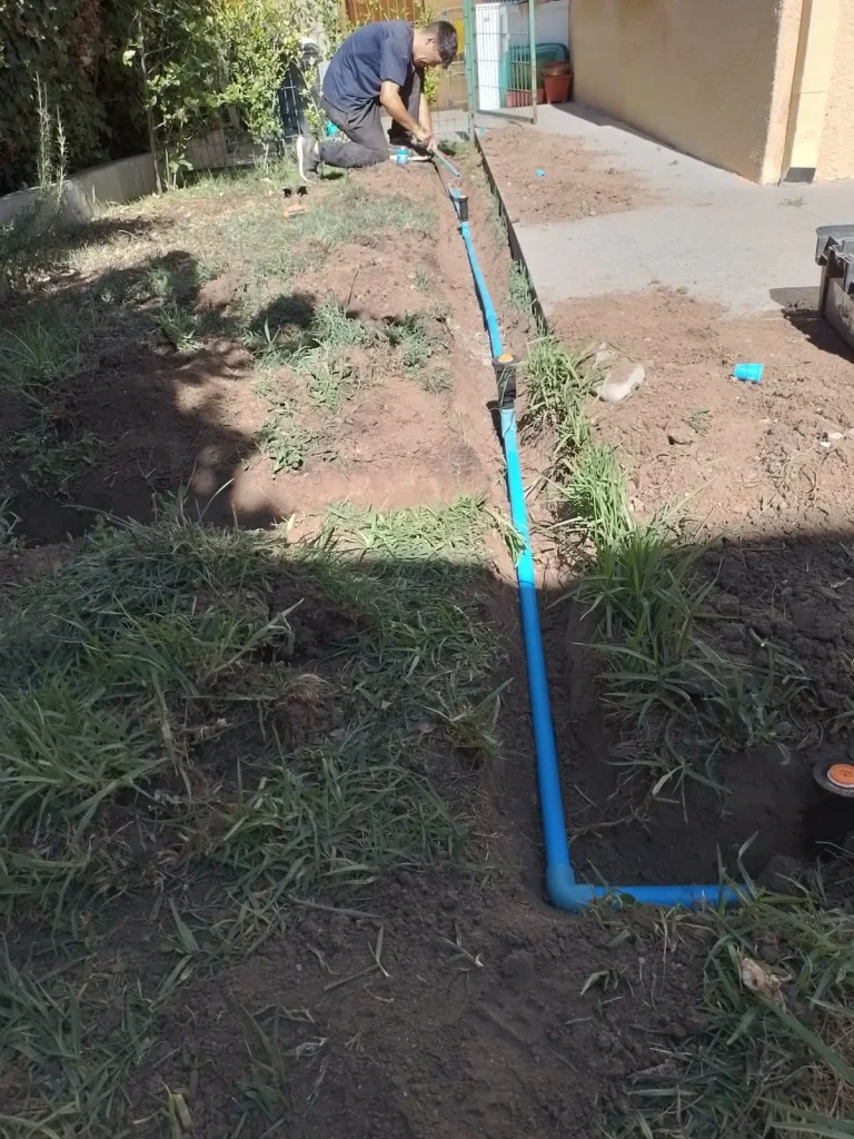 WhatsApp Image 2026-02-16 at 19.13.49