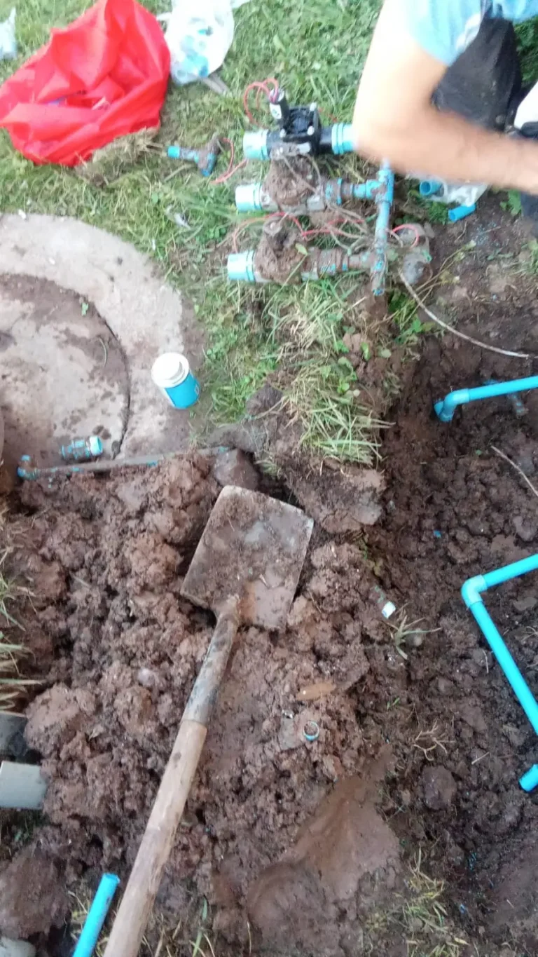 WhatsApp Image 2026-02-16 at 19.17.49